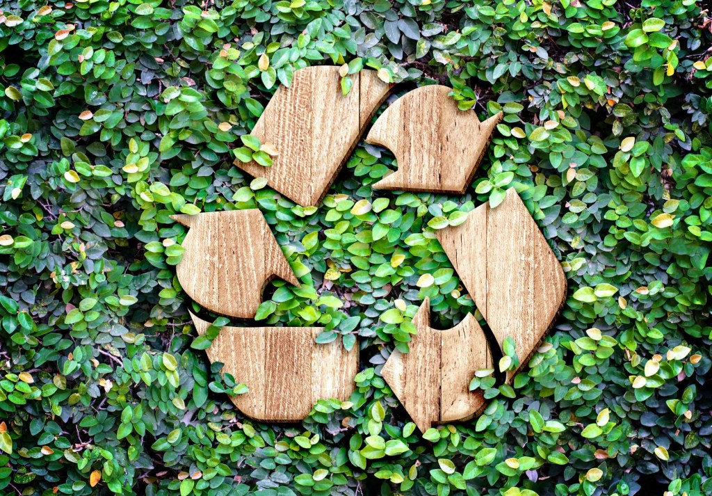 Why recycle? 12 ways you can recycle like a pro