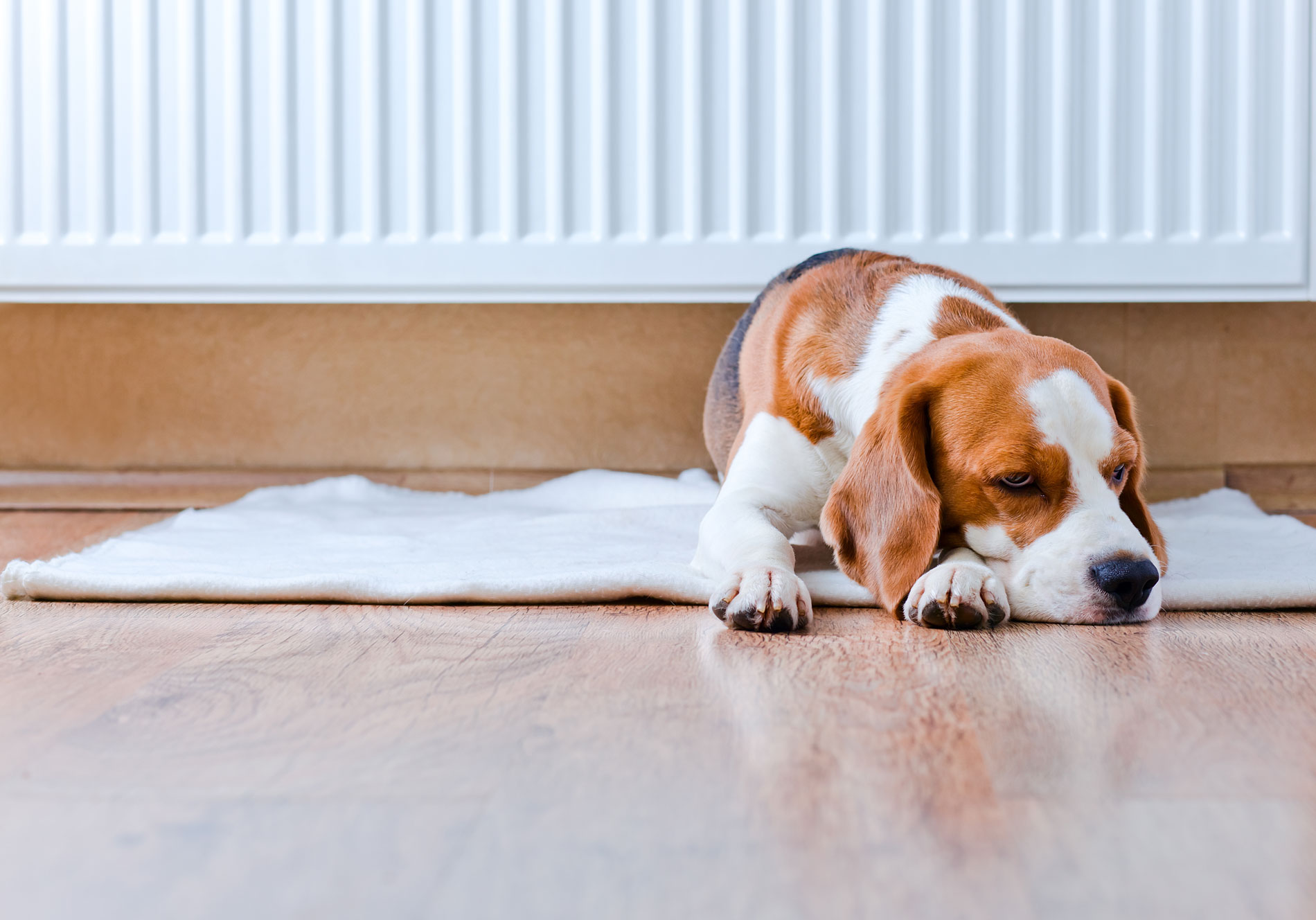 Buying a new heater? Here’s our Winter Heating Guide: Electric heating