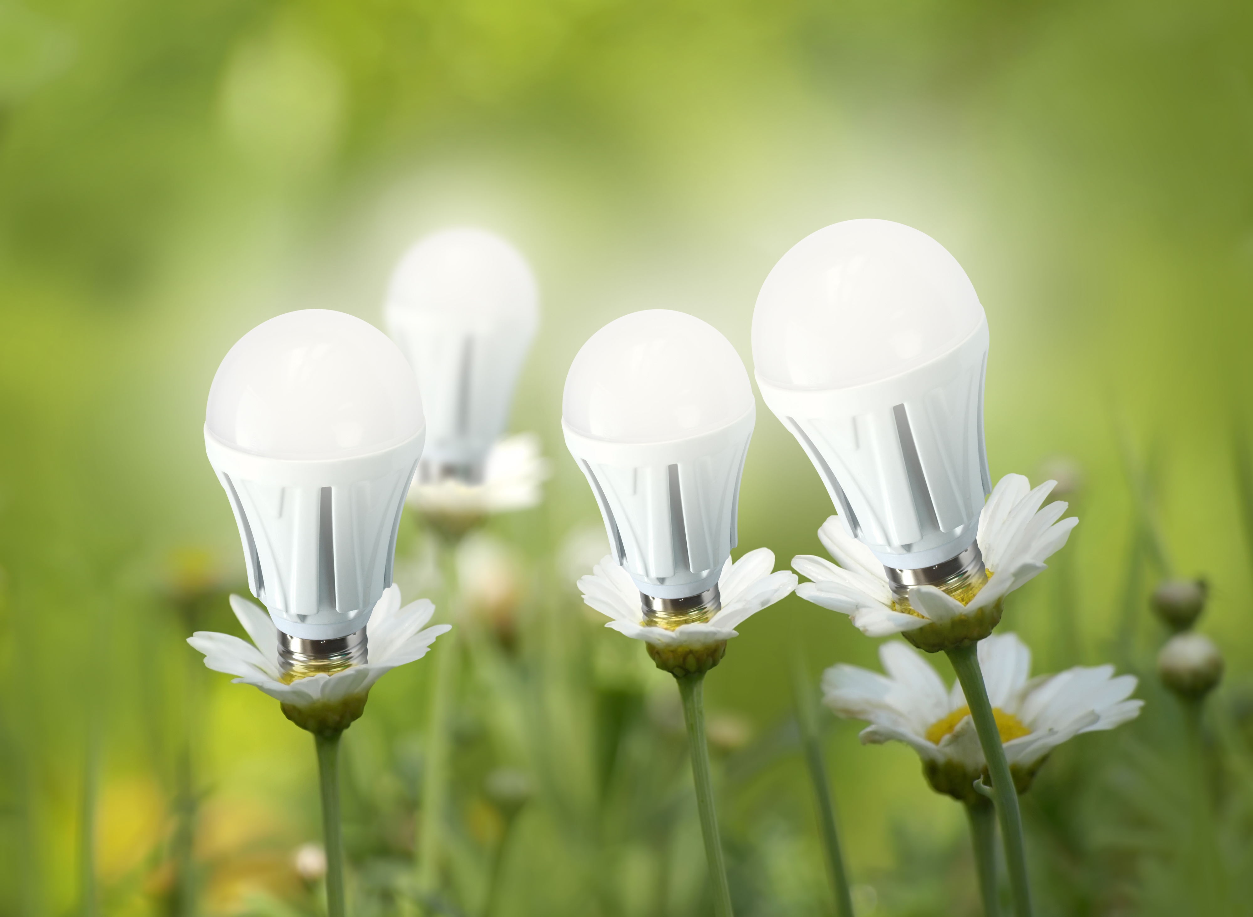LED lighting: Top 3 purchasing tips