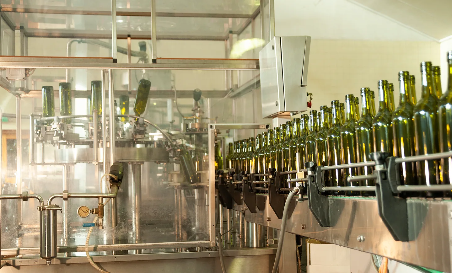 Wine bottles moving along a winery bottling line